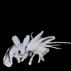 biguzivert