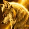 Golden Wolf