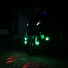 둘도 없는 바보