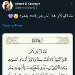 مصطفي كمال