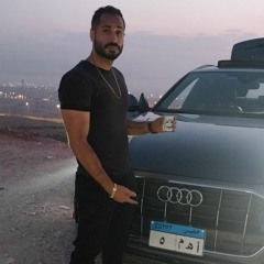 Mohamed Fady Al Daly