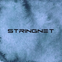 Stringnet