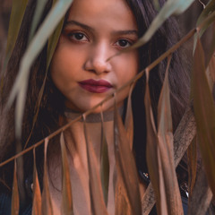 Iercosan Andreea