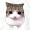 a fucking cat
