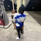 EP3ISHEEM