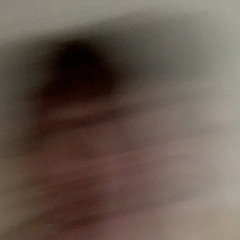 The Internet Fella