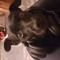 MusicDawg125