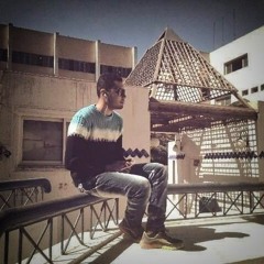 Kareem  shokry