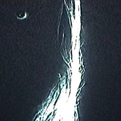 w_111p