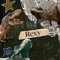 •°(MR.T-REX)•°