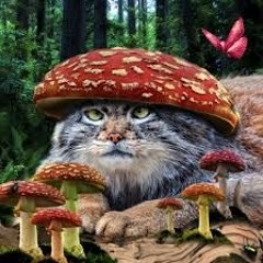 manul mentality