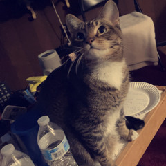 Azul