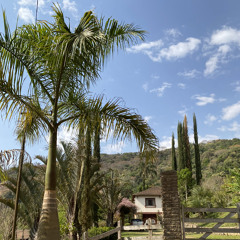 dylima