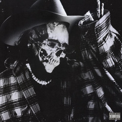 chrome cowboy