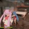 null外の世界でクアコホリックなニガー