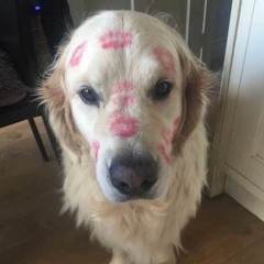 guerilla_mane