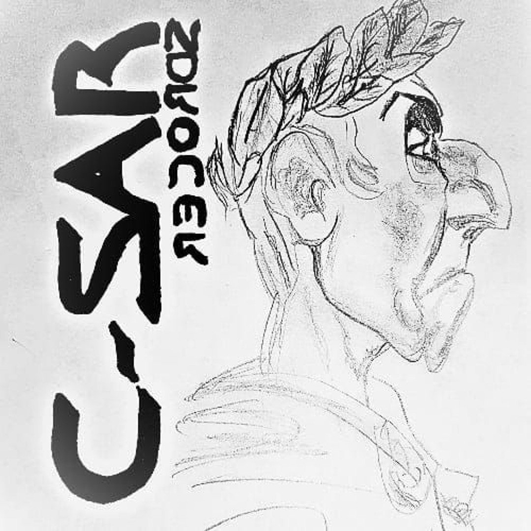C-SARec’s avatar