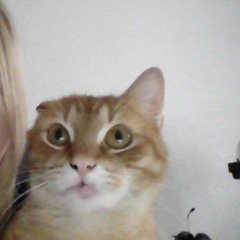 Улеша попчикова