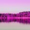 Pink Angler