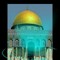 اسامه الشبكه