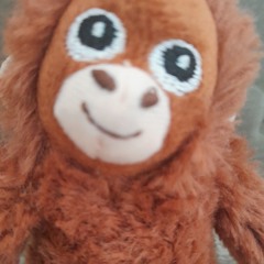 오랑이