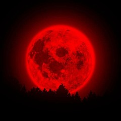 Khamzat version Russian Hardbass ( j'ai pt un câble )