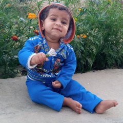 Tatheer Rizvi