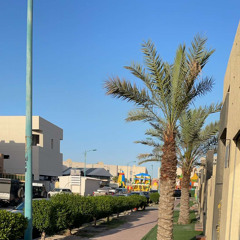 Khaled Waleed