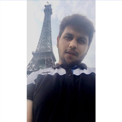 Ameer Hamza.