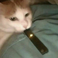 𝘿𝙪𝙤𝙣𝙜ㅤ𝙆𝙝𝙖𝙞