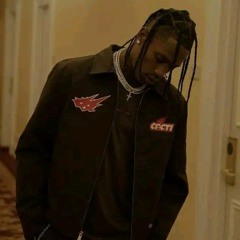 Young Trävi$