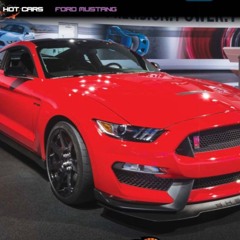 car guy