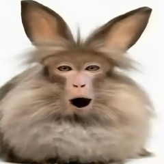 bochka