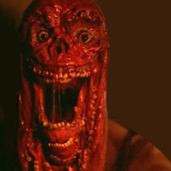 Discord Kitten Number 1