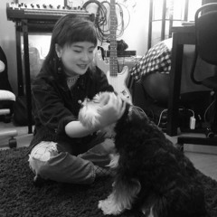 Tiger Machine Revolution