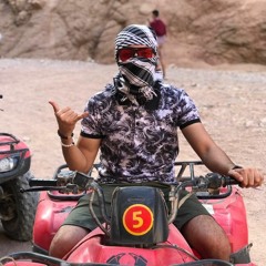 Gamil Essam