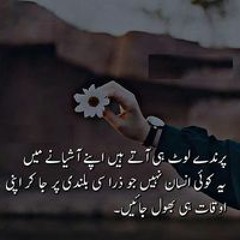 Tariqmhmood Awan