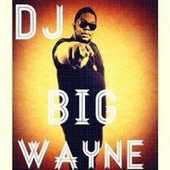 Djbig Wayne