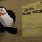 xd
