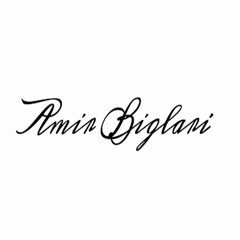 amirbiglari93