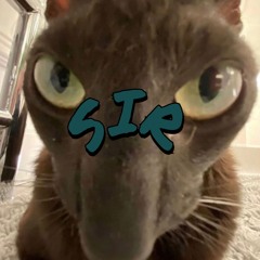 SIR DUBZ® (BONGE CREW)