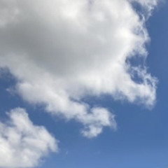 Carlow Creative Club