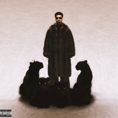 Navaan Sandhu - House Navior