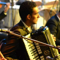 Ahmed Elhariri