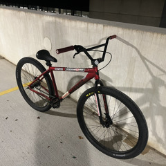 biscobikekid