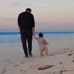 Muhammad El Dessouky