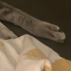Meg