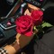 Amany Amer