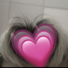 miska_bn