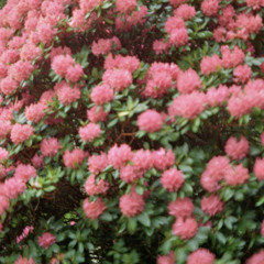 BREAK IN CASE OF FIRE